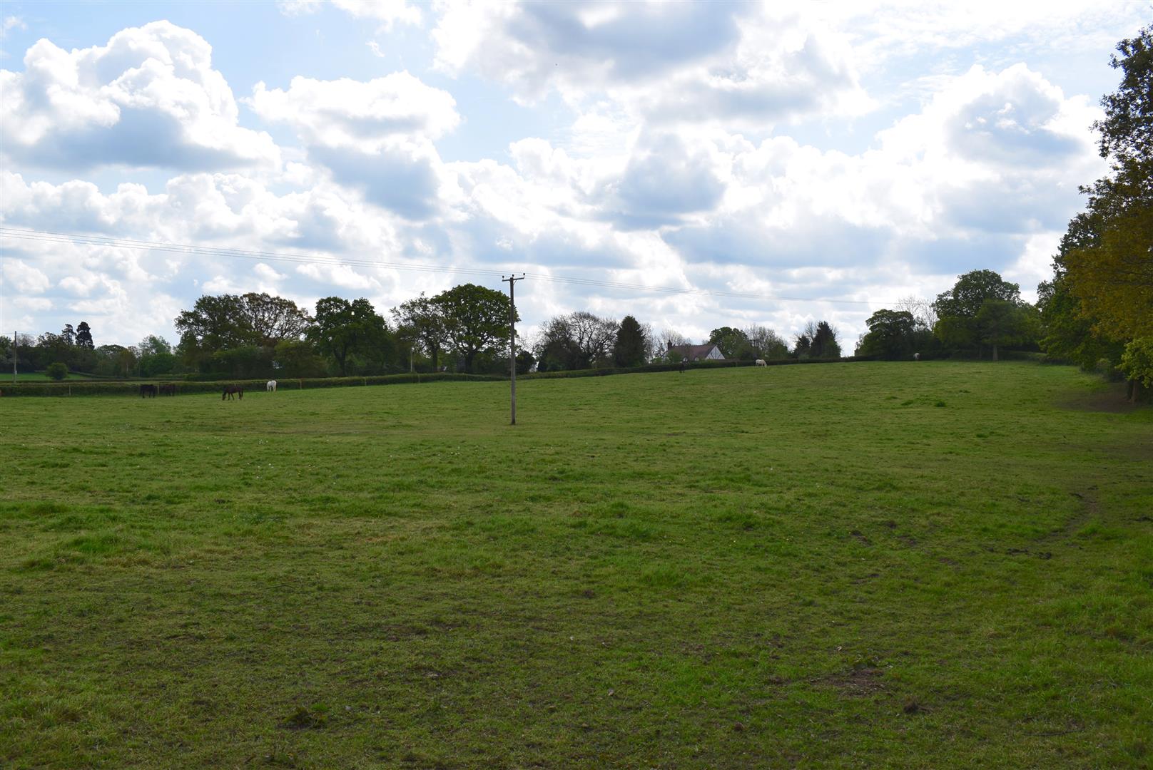 DSC_0044.JPG